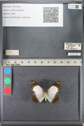 Media type: image;   Entomology 139876
